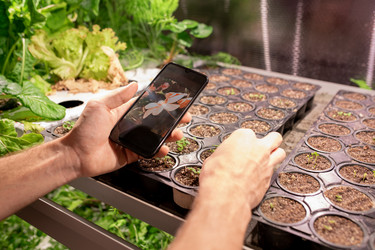 Similar image 20812144