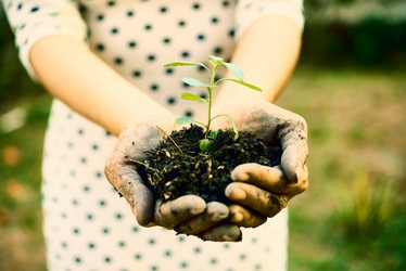 Similar image 20854703