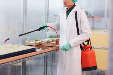 Similar image 20805917