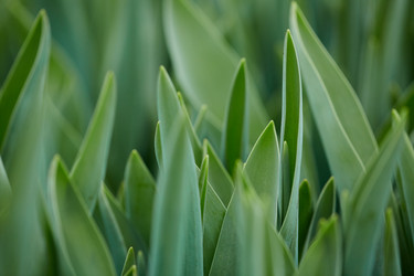 Similar image 20791071