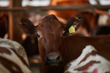 Similar image 20791238