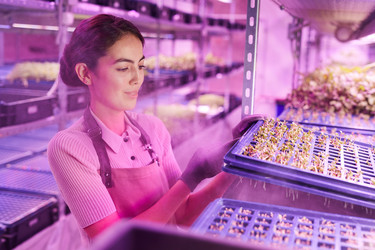 Similar image 20819785