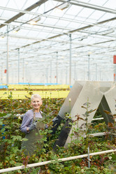 Similar image 20826757