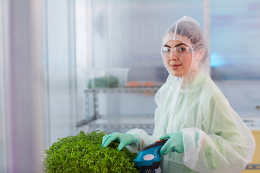 Similar image 20817455