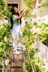 Similar image 20881565