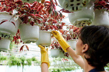 Similar image 20851369