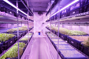 Similar image 20822528