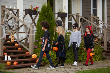 Similar image 20846109