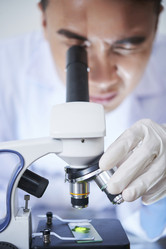 Similar image 20878612