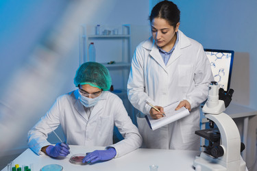 Similar image 20855167