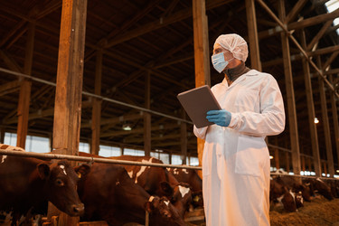 Similar image 20821785