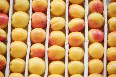 Similar image 20797070