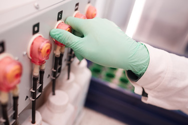 Similar image 20807811