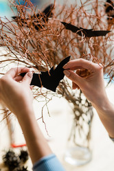 Similar image 20855311