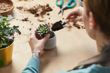 Similar image 20811400