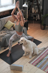 Similar image 20791702