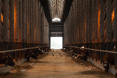 Similar image 20807779