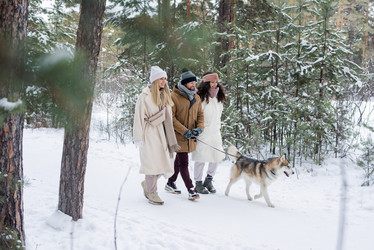 Similar image 20801291