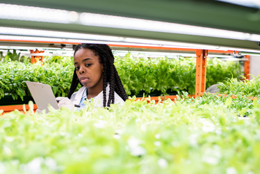 Similar image 20856113