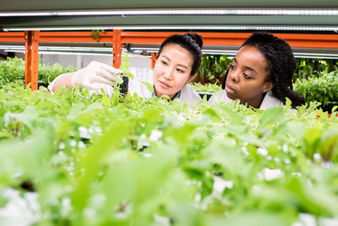 Similar image 20874211