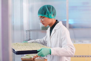 Similar image 20840177