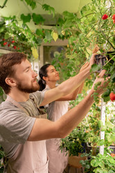 Similar image 20789866