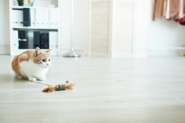 Similar image 20810358