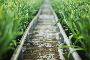 Similar image 20827965