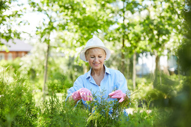 Similar image 20853944