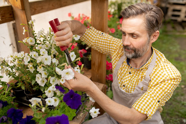 Similar image 20877652