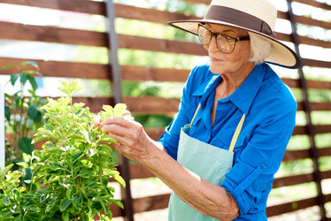 Similar image 20871811