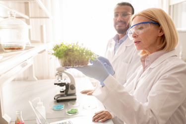 Similar image 20881368