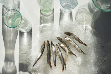 Similar image 20830404