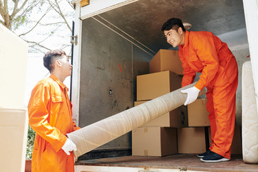 Similar image 20817019