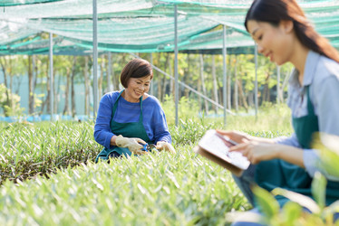 Similar image 20882623