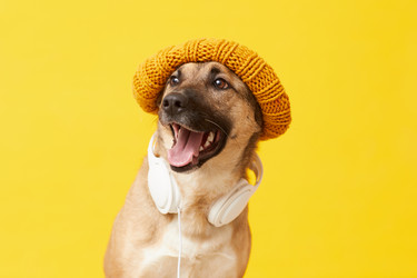 Similar image 20789081