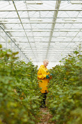 Similar image 20801233