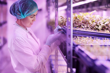 Similar image 20797529