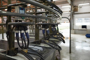 Similar image 20811408