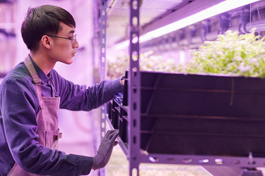 Similar image 20822572