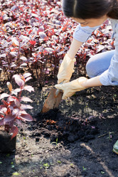 Similar image 20867928