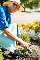 Similar image 20856561