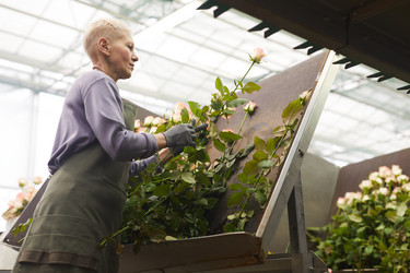 Similar image 20790787