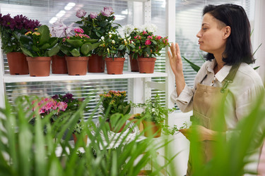 Similar image 20825224