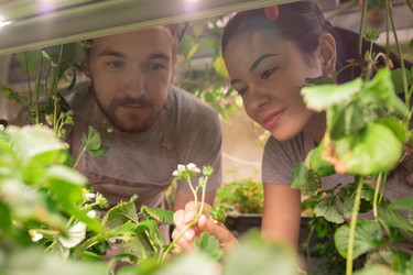 Similar image 20841466