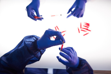 Similar image 20817983