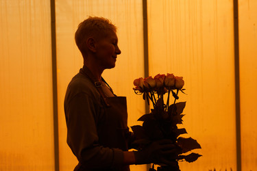 Similar image 20822401