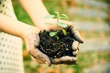 Similar image 20872771