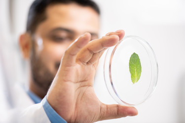 Similar image 20880643