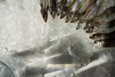 Similar image 20824476